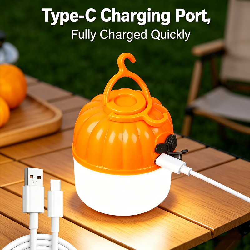 Mini Portable LED Pumpkin Bulb - Zinc Outdoor Lighting recensie en prijs