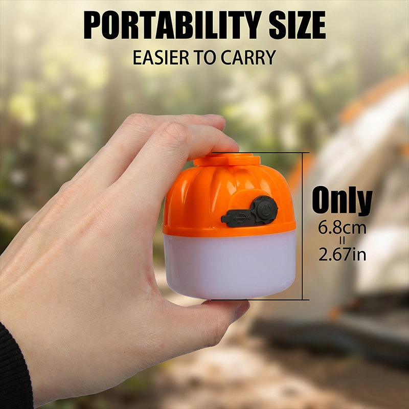Mini Portable LED Pumpkin Bulb - Zinc Outdoor Lighting recensie en prijs