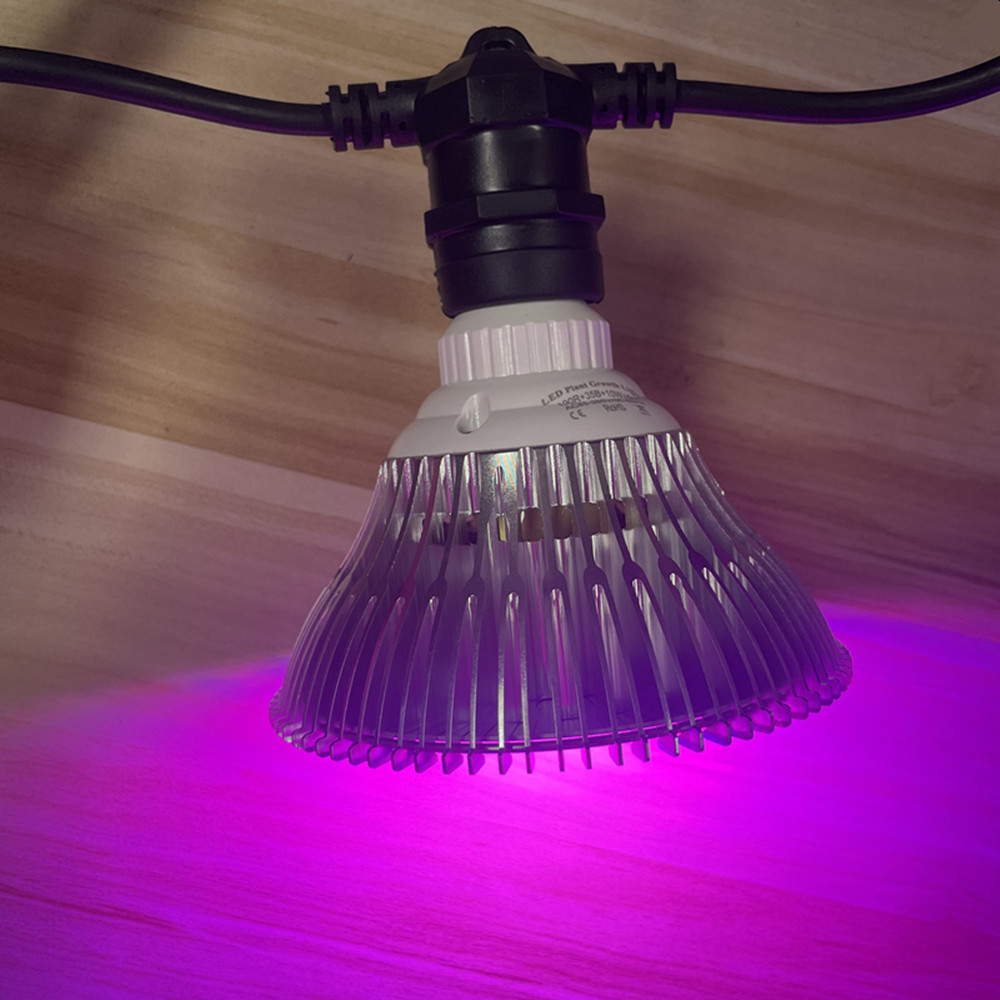 10M Cable LED String Commercia - Waterproof Led Strip recensie en prijs