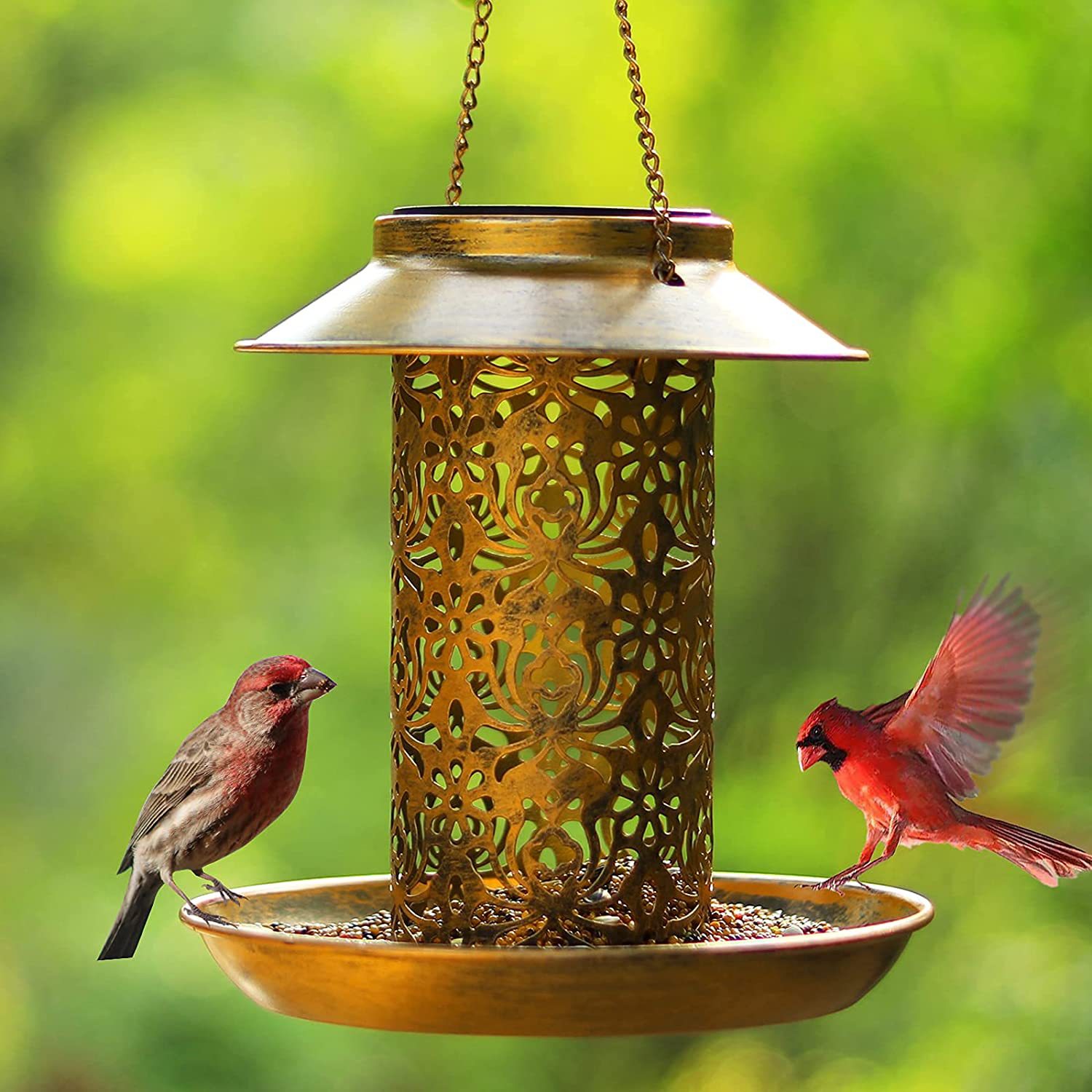 Hanging Bird House Metal Outdo - Outdoor Lighting Ideas For House recensie en prijs